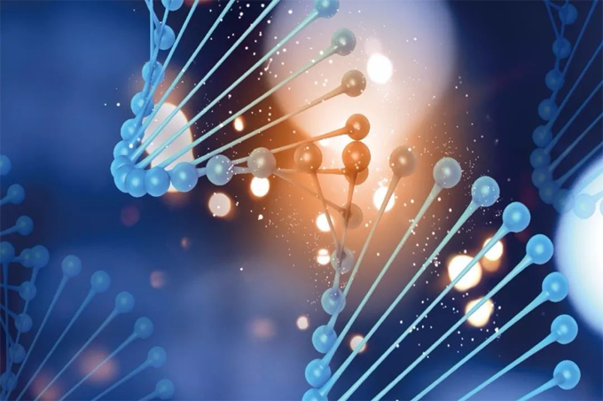 簡(jiǎn)一生物: