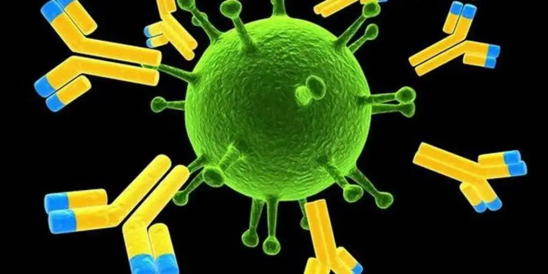 ADC藥物市場潛力以及國內(nèi)布局